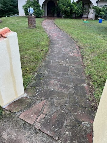 Allée de dalles envahie par les mousses