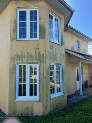 Façade jaune envahie par les mousses vertes