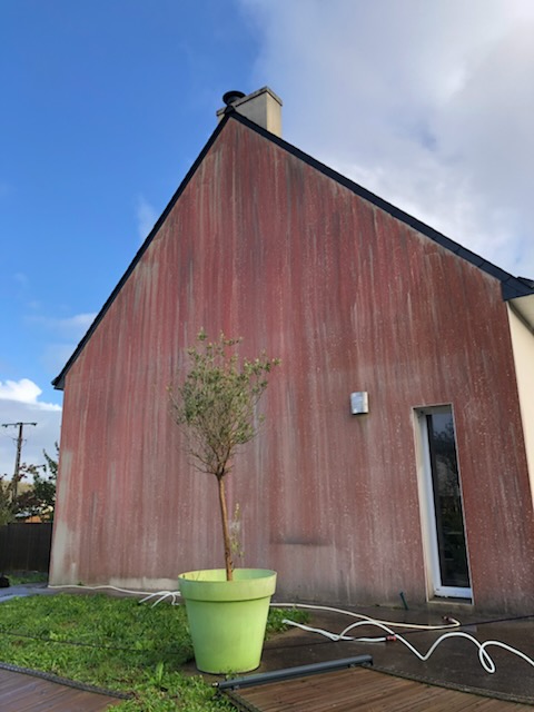 Pignon couvert d'algues rouges avant nettoyage