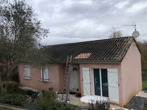 Toiture couverte de mousses avant démoussage